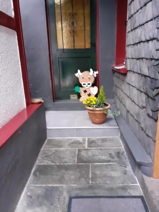 Hallerblick Monschau Buitenkant foto
